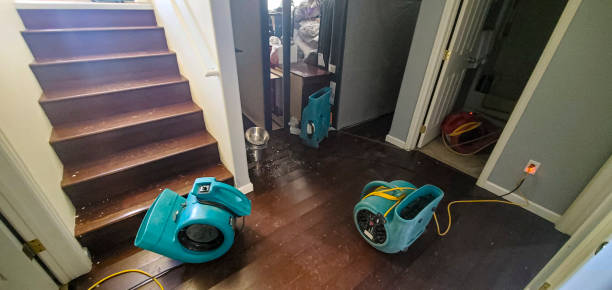 Best Fire Damage Restoration  in Windsor, NC