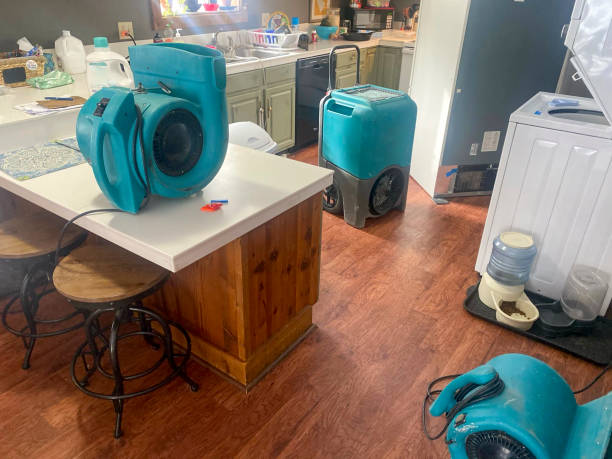 Best Water damage cleanup near me  in Windsor, NC