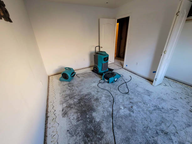 Best Flood damage cleanup  in Windsor, NC