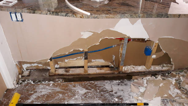 Best Basement water damage restoration  in Windsor, NC