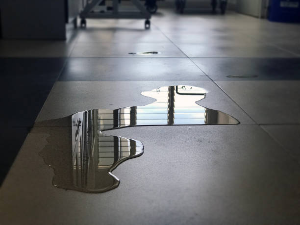 Best Water damage restoration near me  in Windsor, NC
