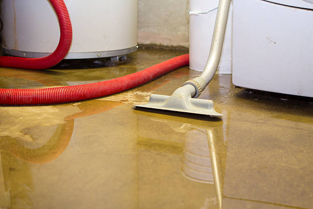 Best Flooded house restoration  in Windsor, NC