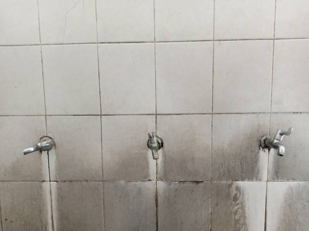 Best Local water damage restoration  in Windsor, NC