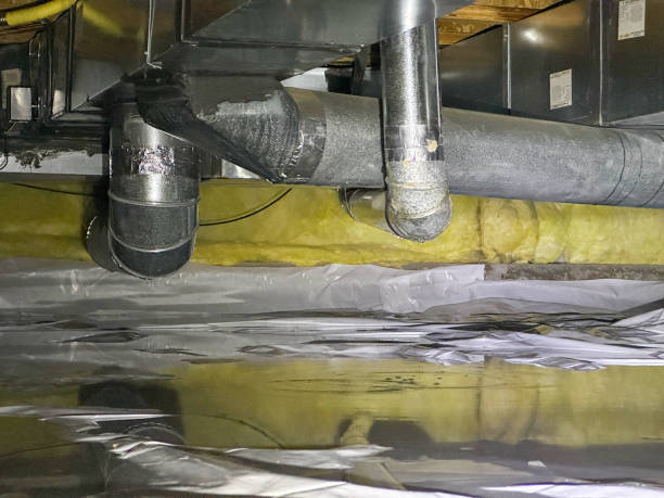 Best Commercial water damage restoration  in Windsor, NC