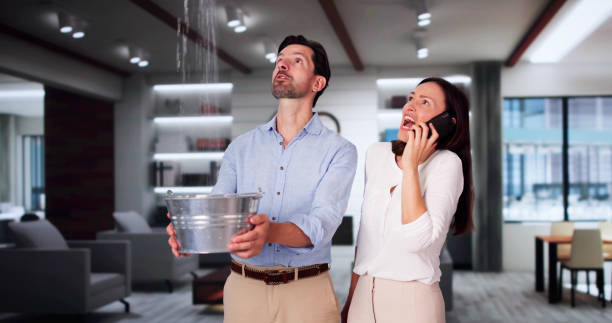 Best 24-hour water damage restoration  in Windsor, NC