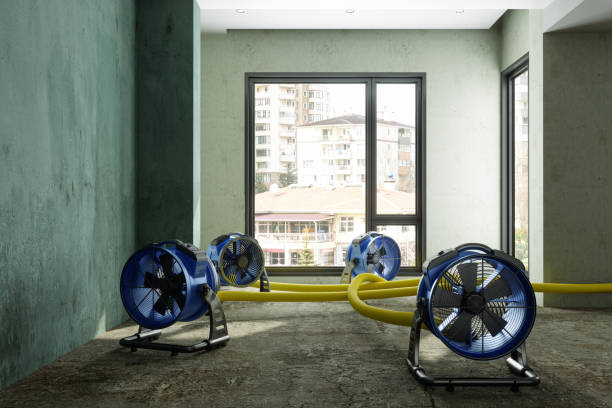 Best Flood restoration services  in Windsor, NC