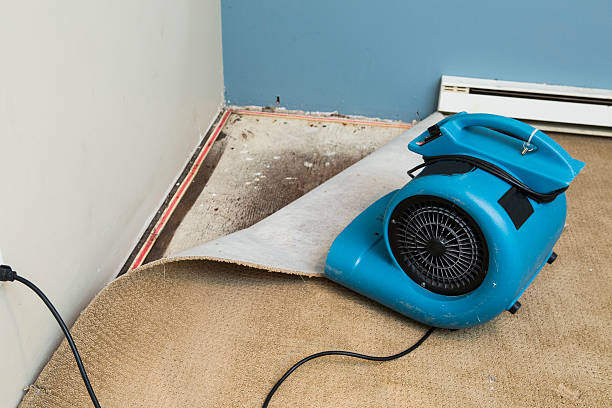 Best Water damage restoration near me  in Windsor, NC